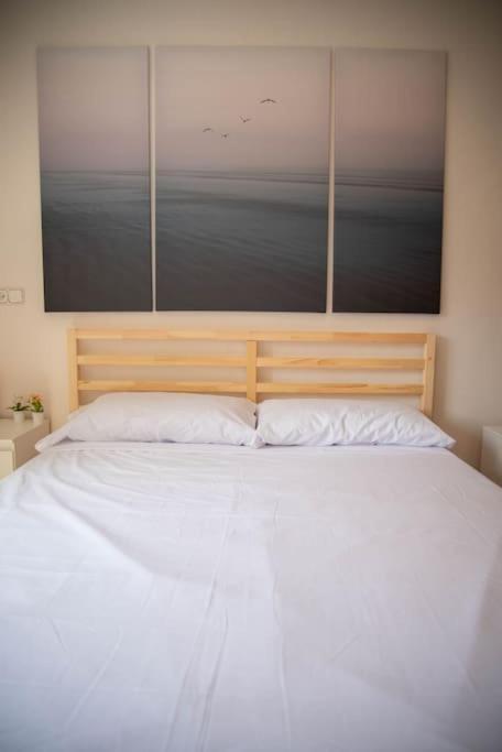 Piso Con Jardin Apartment Malaga Ngoại thất bức ảnh