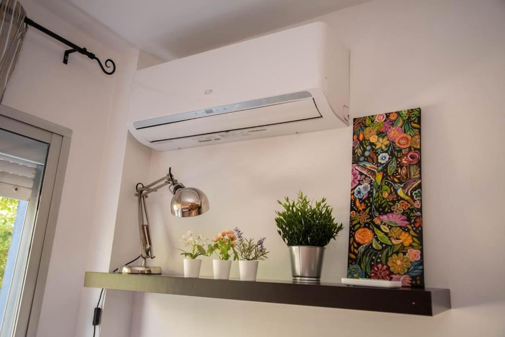Piso Con Jardin Apartment Malaga Ngoại thất bức ảnh