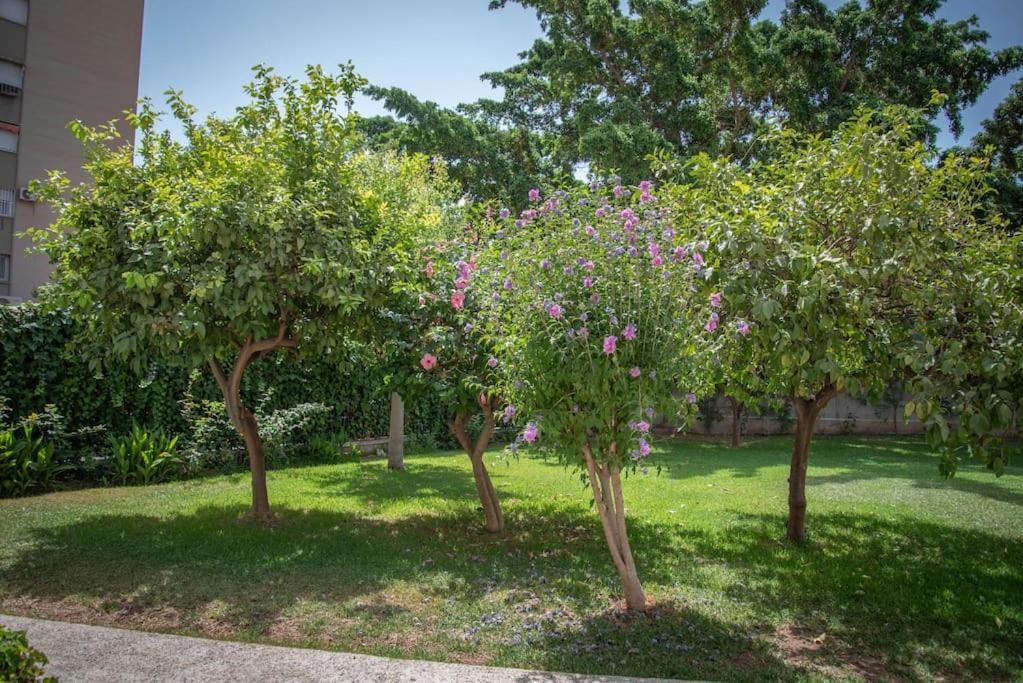 Piso Con Jardin Apartment Malaga Ngoại thất bức ảnh